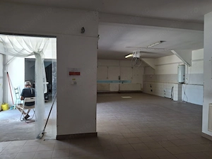 Spatiu depozitare/productie zona Giurgiului /Luica  - Giurgiului - imagine 12