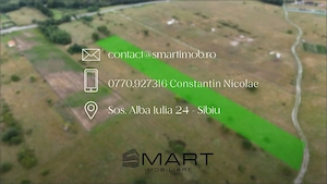 Teren intravilan 5000mp Valea Avrigului - imagine 7