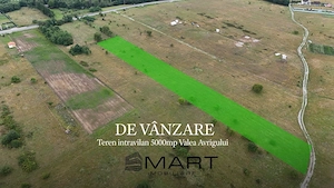 Teren intravilan 5000mp Valea Avrigului