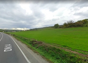Teren extravilan 42000MP Seica Mare - Sibiu - imagine 2
