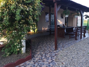 Casa de vanzare in periam  - imagine 6