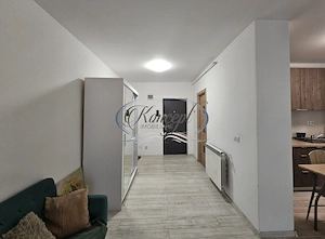 Apartament 1 camera in Andrei Muresanu - imagine 7