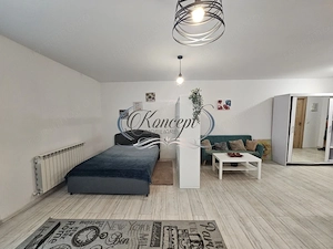 Apartament 1 camera in Andrei Muresanu - imagine 4