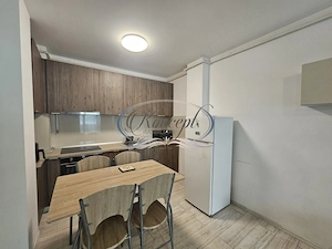 Apartament 1 camera in Andrei Muresanu - imagine 10