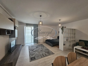 Apartament 1 camera in Andrei Muresanu - imagine 5
