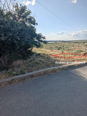 Teren intravilan în Adjudu-Vechi - imagine 3