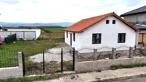 Casa 1 nivel 75mp Cartier Tineretului Sura Mica