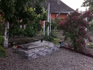 Casa de vanzare in periam  - imagine 9