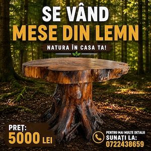 Se vand mese din lemn