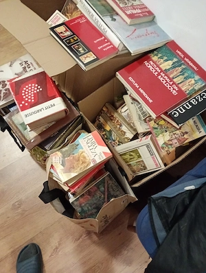 carti,albume,dictionare de  vanzare