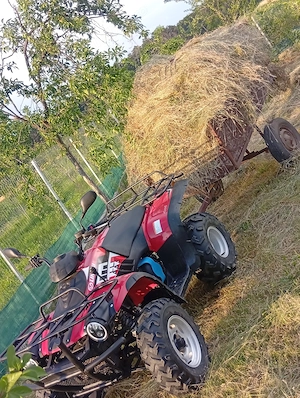 Linhai worker 300 4x4  - imagine 3