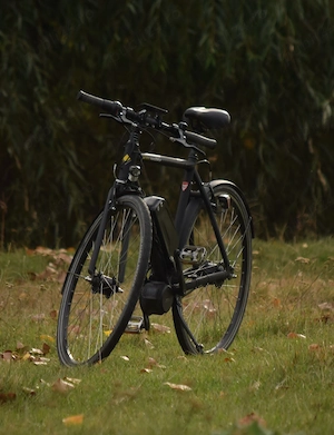 Bicicleta electrica Kieler Bafang
