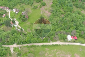 Teren 6700 mp, Apuseni, Pietroasa, Valea Aleului, Bihor, De Vânzare - imagine 6
