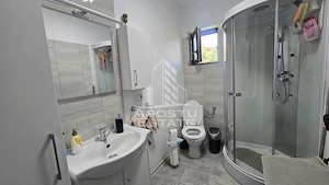 Casa individuala de vanzare cu 4 camere, 2 bai, terasa si foisor, Sag - imagine 15