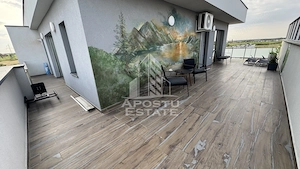 Penthouse cu terasa de 70 mp , zona Mehala - imagine 8