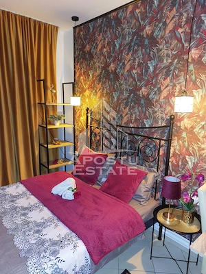 Apartament cu o camera, Zona Lipovei, Timisoara jud. Timis - imagine 2