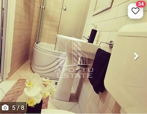 Apartament cu o camera, Zona Lipovei, Timisoara jud. Timis - imagine 8