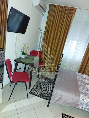 Apartament cu o camera, Zona Lipovei, Timisoara jud. Timis - imagine 5