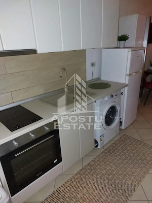 Apartament cu o camera, Zona Lipovei, Timisoara jud. Timis - imagine 4