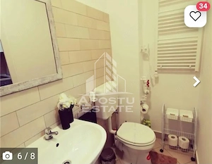 Apartament cu o camera, Zona Lipovei, Timisoara jud. Timis - imagine 7
