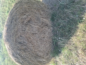 Baloti fân si lucernă