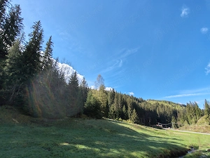 Teren intravilan de vânzare Secu - Toplița 10.238 mp - imagine 9