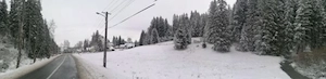 Teren intravilan de vânzare Secu - Toplița 10.238 mp - imagine 8
