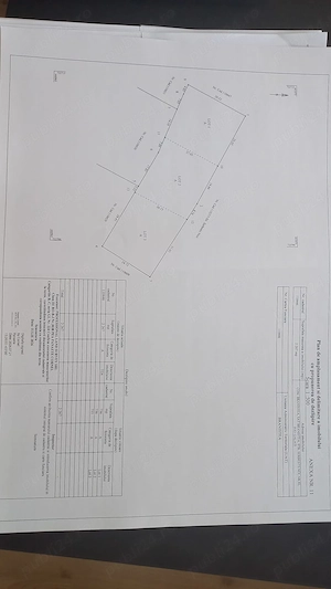 Vand trei loturi de teren Branistea, Galati 756 m2 fiecare, intravilan - imagine 9