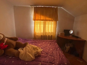 Proprietate cu doua imobile, com. Dragutesti.  - imagine 6