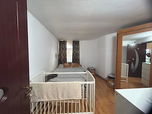 Proprietate cu doua imobile, com. Dragutesti.  - imagine 5
