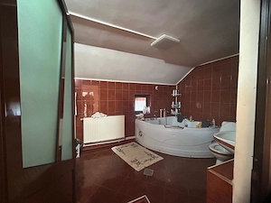 Proprietate cu doua imobile, com. Dragutesti.  - imagine 9