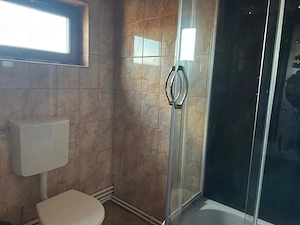 Proprietate cu doua imobile, com. Dragutesti.  - imagine 10