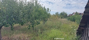 Proprietate cu doua imobile, com. Dragutesti.  - imagine 13