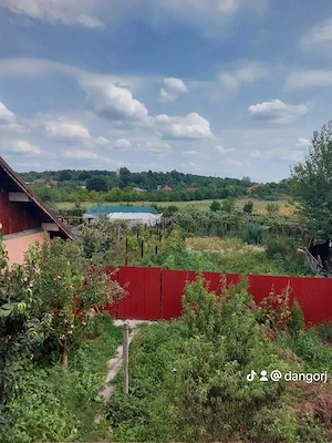 Proprietate cu doua imobile, com. Dragutesti.  - imagine 16