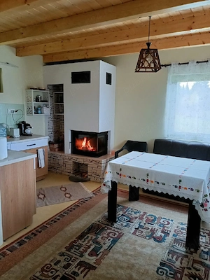 cabana de vanzare, Smida - imagine 4