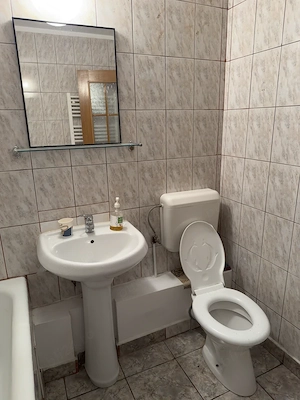 Apartament 2 camere de vanzare, Delfinului-Pantelimon - imagine 10