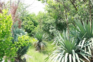 Casa de vanzare in Buzias - imagine 4