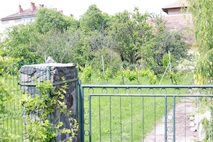 Casa de vanzare in Buzias - imagine 3