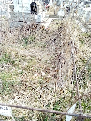 2 Locuri de veci, cimitirul Afumați - pădure