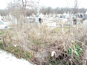 2 Locuri de veci, cimitirul Afumați - pădure - imagine 3