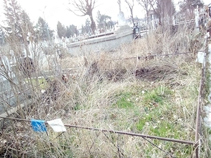 2 Locuri de veci, cimitirul Afumați - pădure - imagine 2
