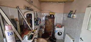 Casa de vanzare Lunca Tecii  teren 1116 mp - imagine 11