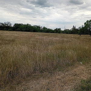 Teren, Timisoara, zona Mehala, str.  Atanasie Demian, 4990 mp, FS=33.5m, utilitati, com=0% - imagine 5