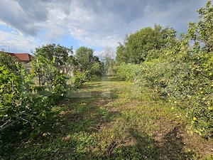 Casă de vânzare, 150 mp, teren de 870 mp, zona Piața - Sebeș - imagine 18