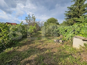 Casă de vânzare, 150 mp, teren de 870 mp, zona Piața - Sebeș - imagine 19