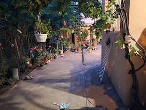 Casa cu teren de vânzare .  - imagine 2