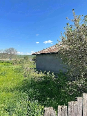 De vanzare casa batraneasca si teren de 1847mp in Horia,  deschidere 30ml, Pret 48500euro - imagine 3