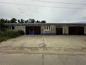 Hale de inchiriat in Tomesti, la str. Plopilor, de la 324mp la 2000mp - imagine 3