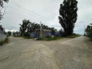 Hale de inchiriat in Tomesti, la str. Plopilor, de la 324mp la 2000mp - imagine 7