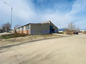 Hale de inchiriat in Tomesti, la str. Plopilor, de la 324mp la 2000mp - imagine 8